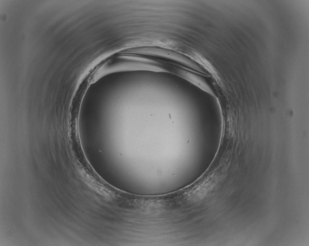 X0000063441020200601201149