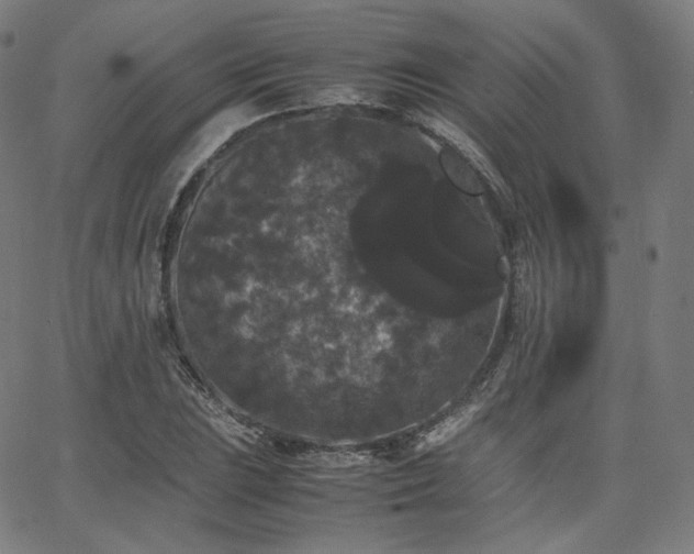 X0000063441023200601201149