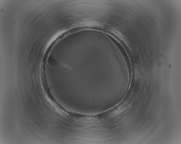 X0000063441024200601201149