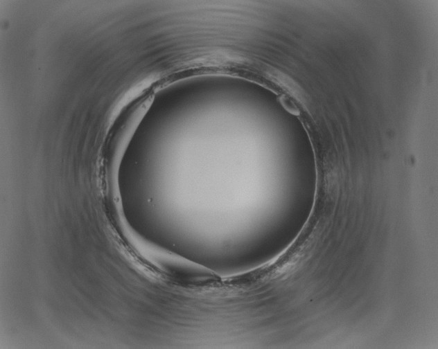 X0000063441026200601201149
