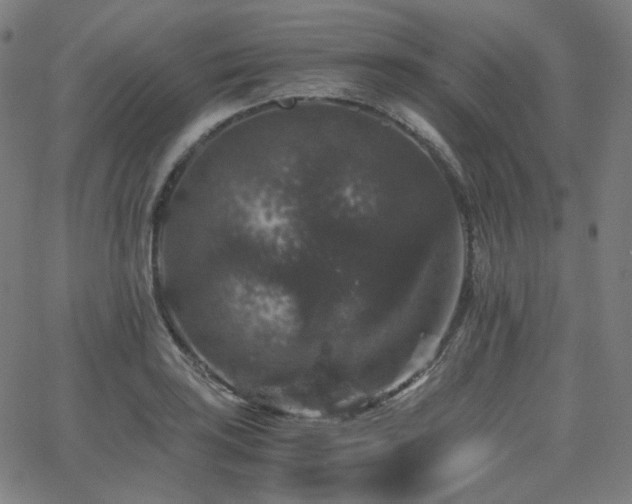 X0000063441035200601201149
