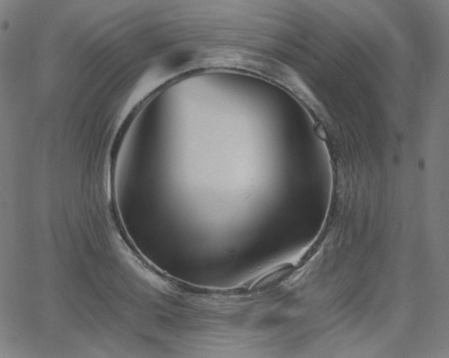 X0000063441036200601201149