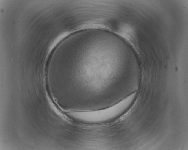 X0000063441038200601201150