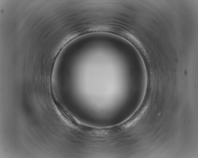 X0000063441041200601201150