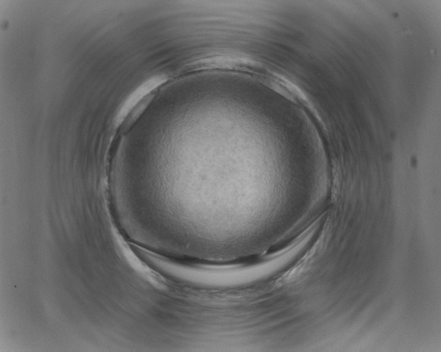 X0000063441042200601201150