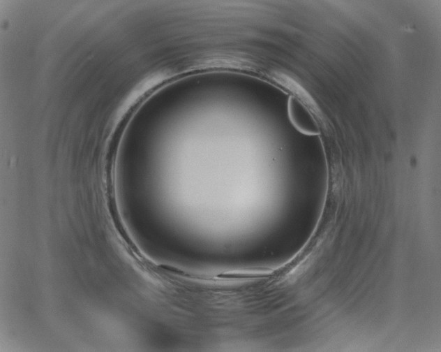 X0000063441043200601201150