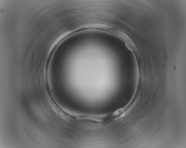 X0000063441044200601201150