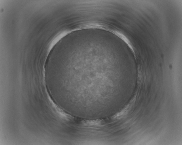 X0000063441047200601201150