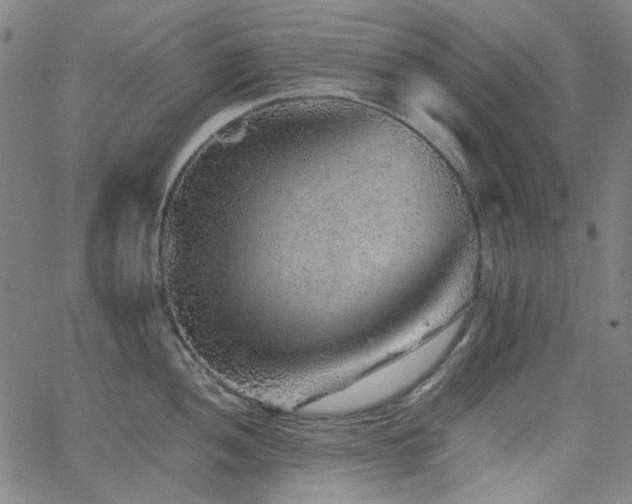 X0000063441052200601201150