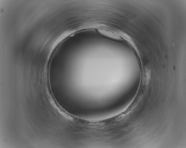 X0000063441053200601201150