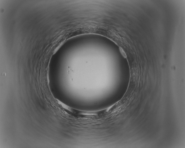 X0000063441057200601201149