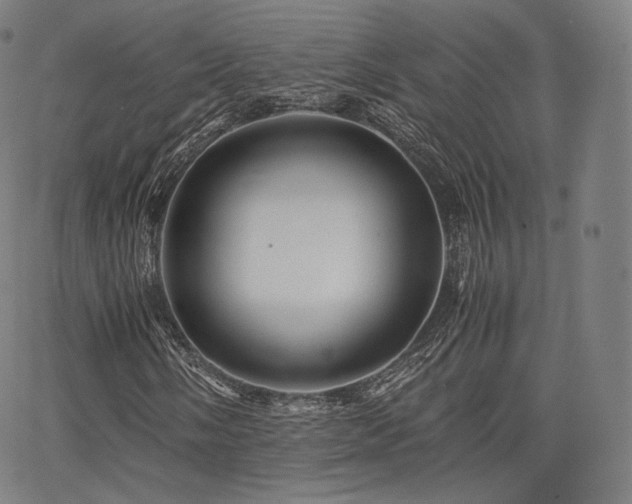 X0000063441058200601201149
