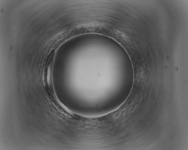 X0000063441062200601201149