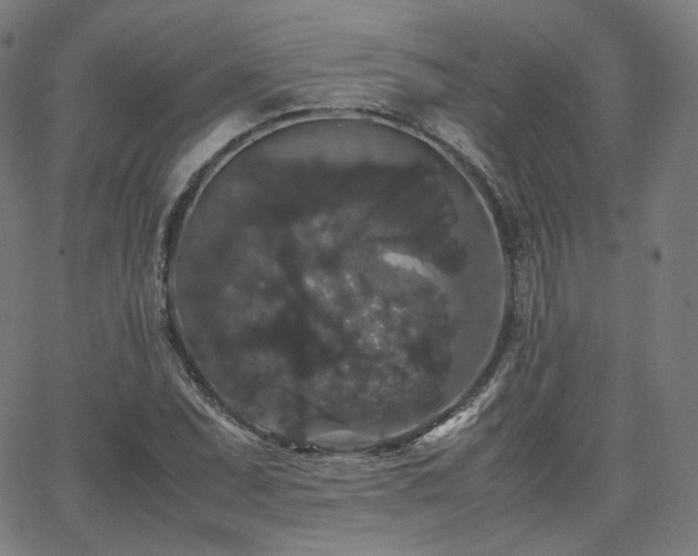 X0000063441071200601201149