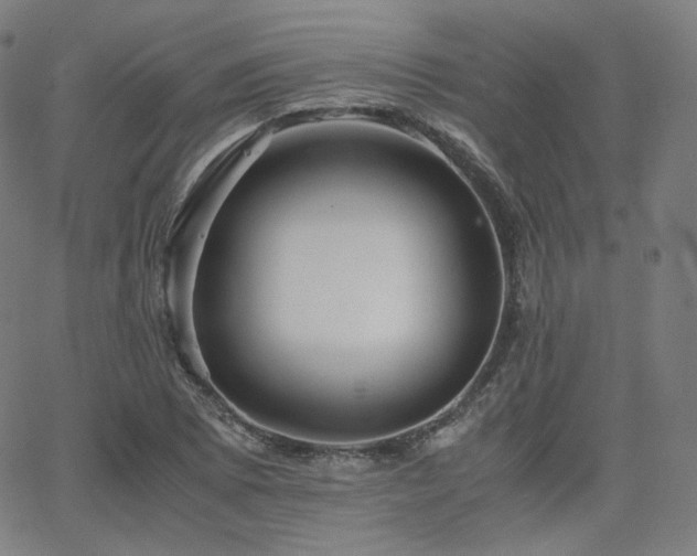 X0000063441073200601201149