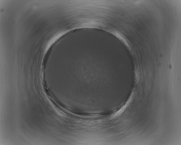 X0000063441077200601201149
