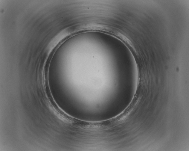 X0000063441082200601201149