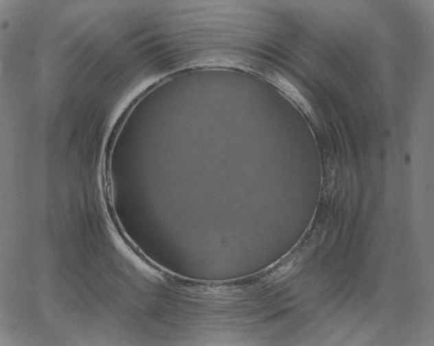 X0000063441084200601201149