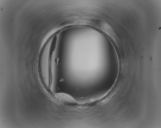 X0000063441085200601201149