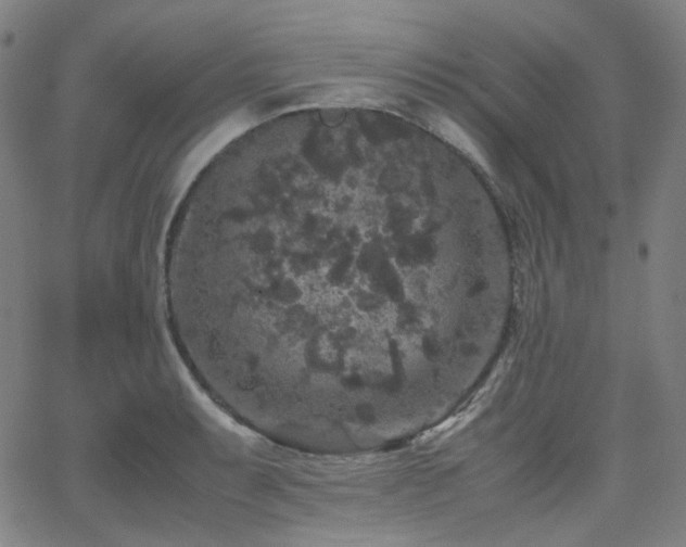 X0000063441087200601201149