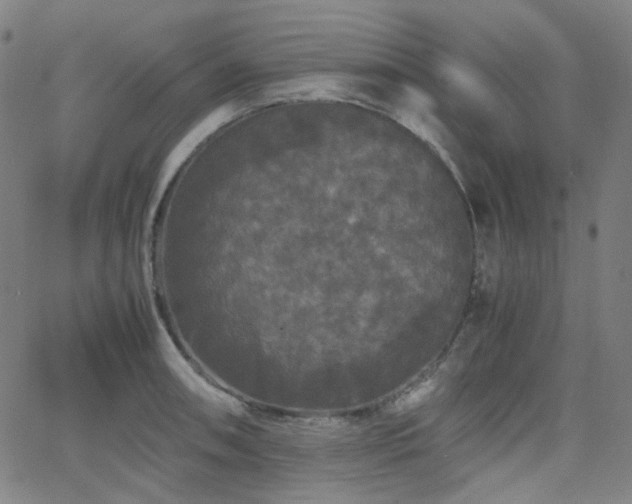 X0000063441090200601201148