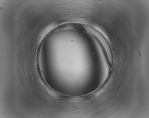 X0000063441093200601201148