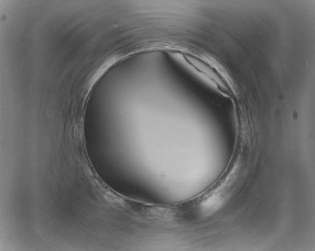 X0000063441097200601201148