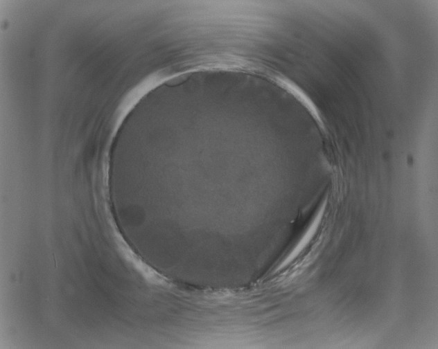 X0000063441099200601201148