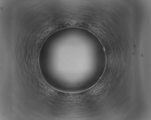 X0000063441105200601201147