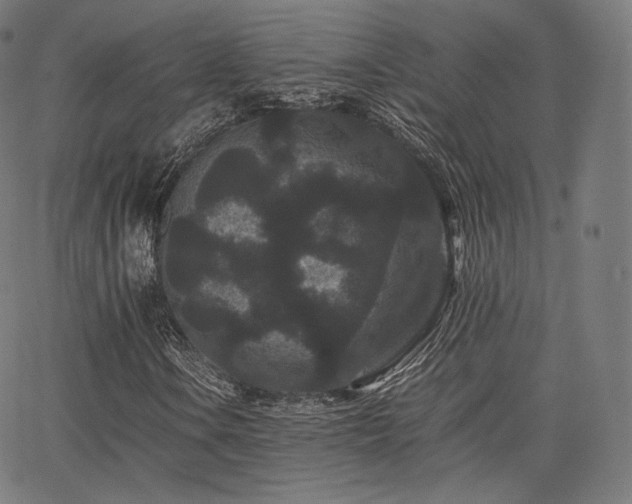 X0000063441106200601201147