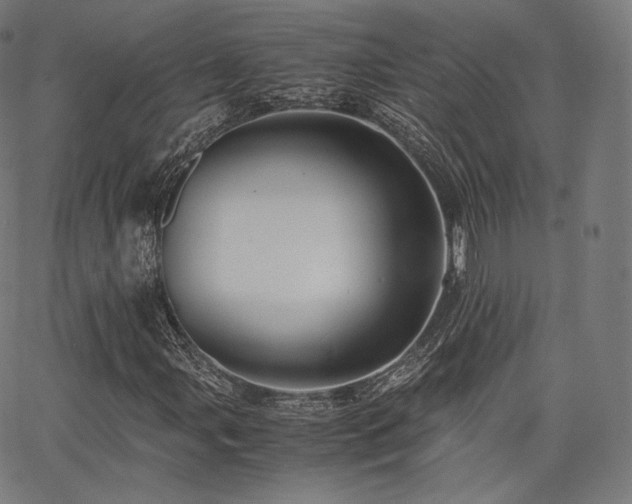 X0000063441107200601201147