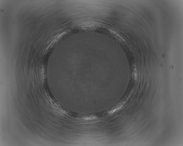 X0000063441108200601201147