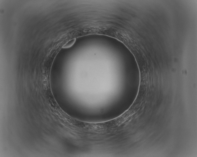 X0000063441109200601201148