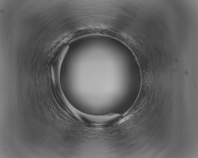 X0000063441110200601201148