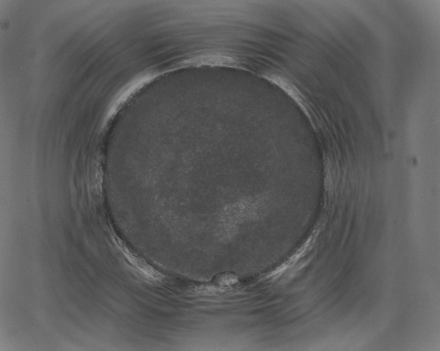 X0000063441115200601201148