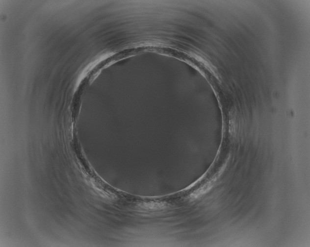 X0000063441117200601201148