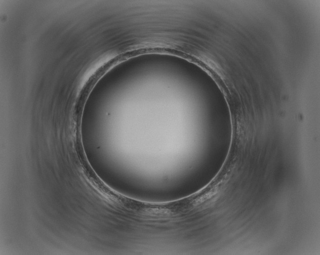 X0000063441119200601201148