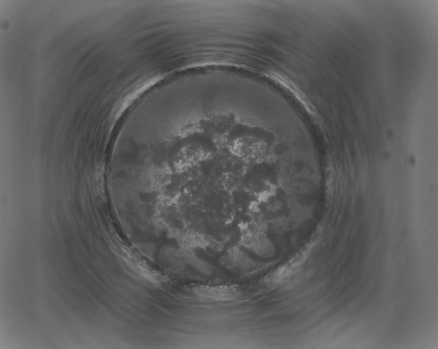 X0000063441121200601201148