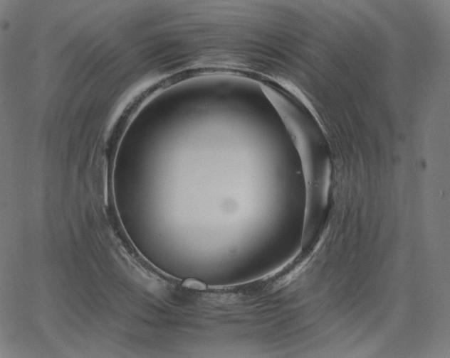 X0000063441123200601201148