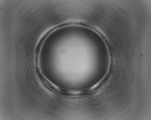 X0000063441124200601201148
