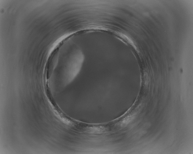 X0000063441125200601201148