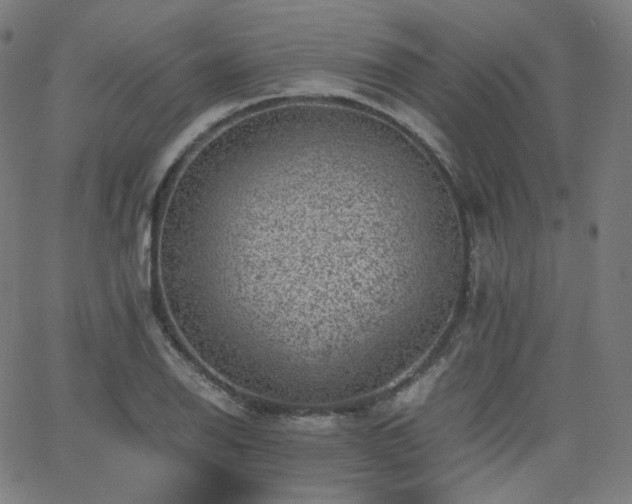 X0000063441126200601201148