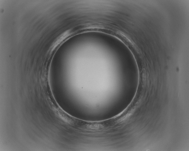 X0000063441129200601201148
