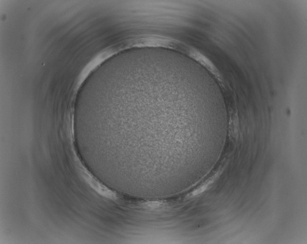 X0000063441130200601201148