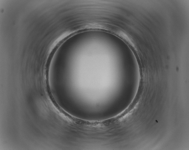X0000063441133200601201148
