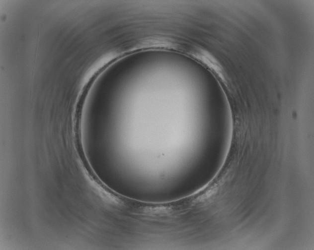 X0000063441135200601201148