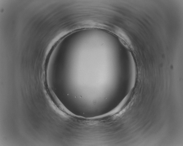 X0000063441136200601201148