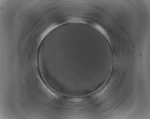 X0000063441141200601201148