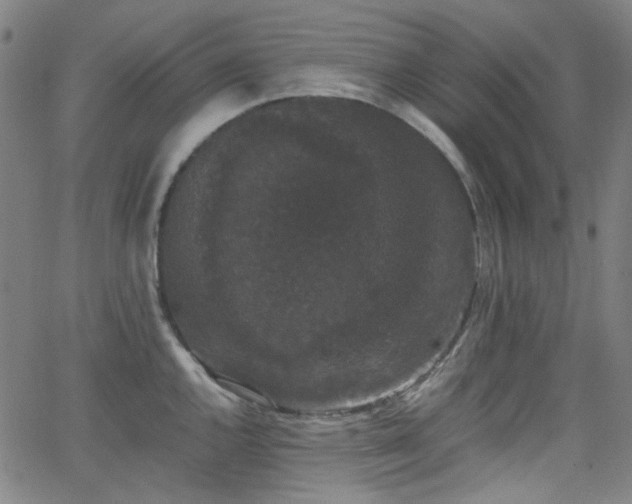X0000063441144200601201148
