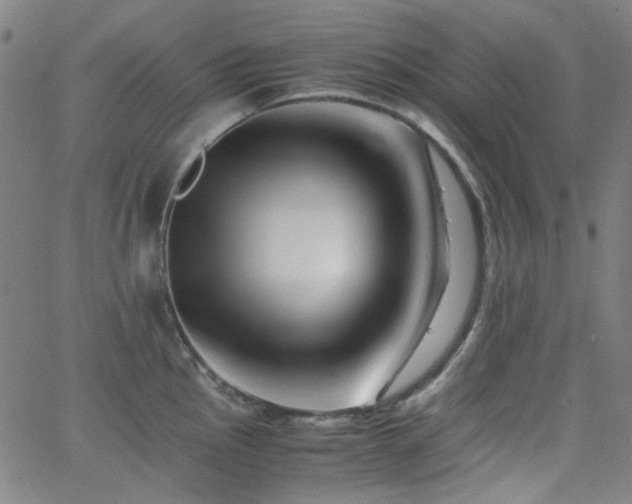 X0000063441145200601201148